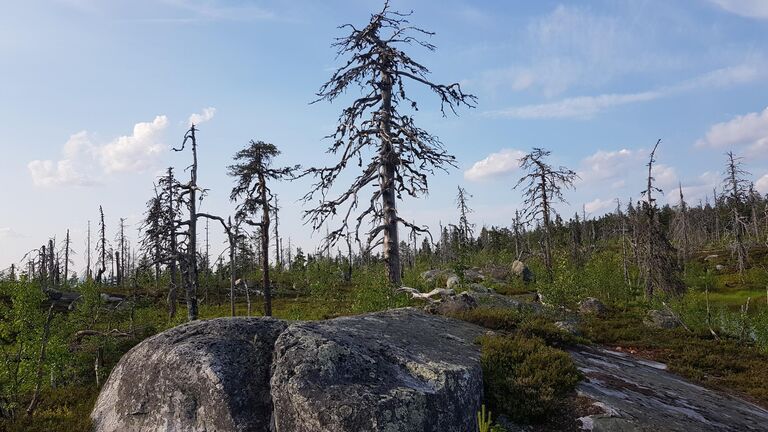 Карелия, Воттоваара