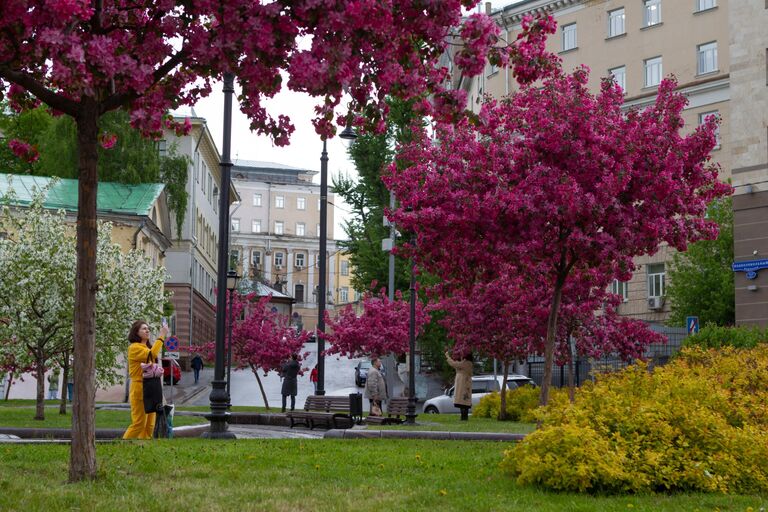 Сезон цветения в Москве