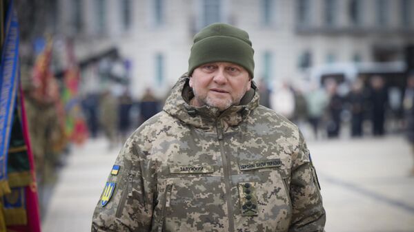 Бывший главнокомандующий Вооруженными силами Украины Валерий Залужный. Архивное фото