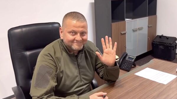 Главнокомандующий Вооруженными силами Украины Валерий Залужный