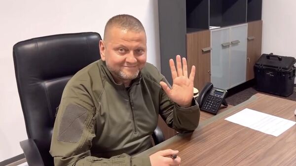 Главнокомандующий Вооруженными силами Украины Валерий Залужный. Кадр видео. Архив