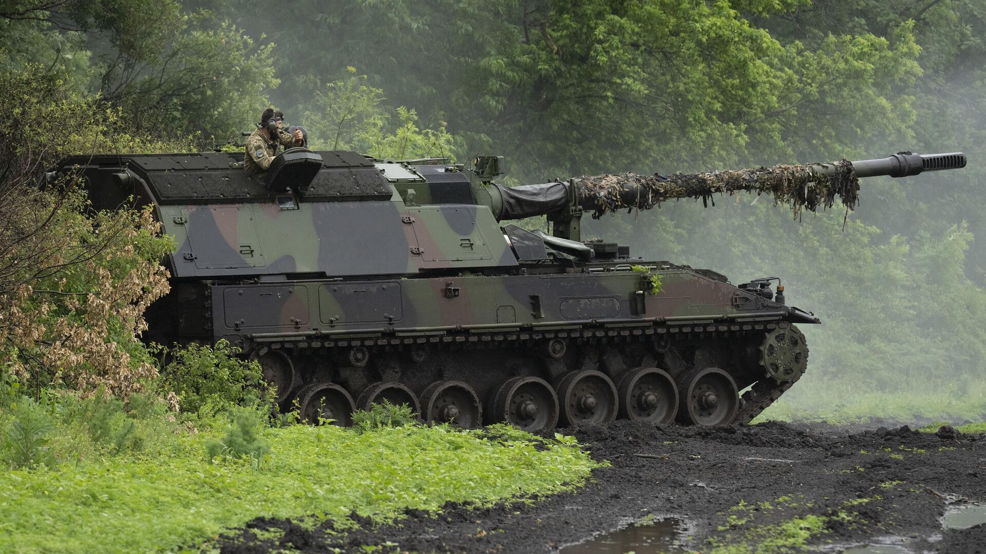 Немецкая самоходная артиллерийская установка Panzerhaubitze 2000 в Донецкой области - РИА Новости, 1920, 11.06.2024