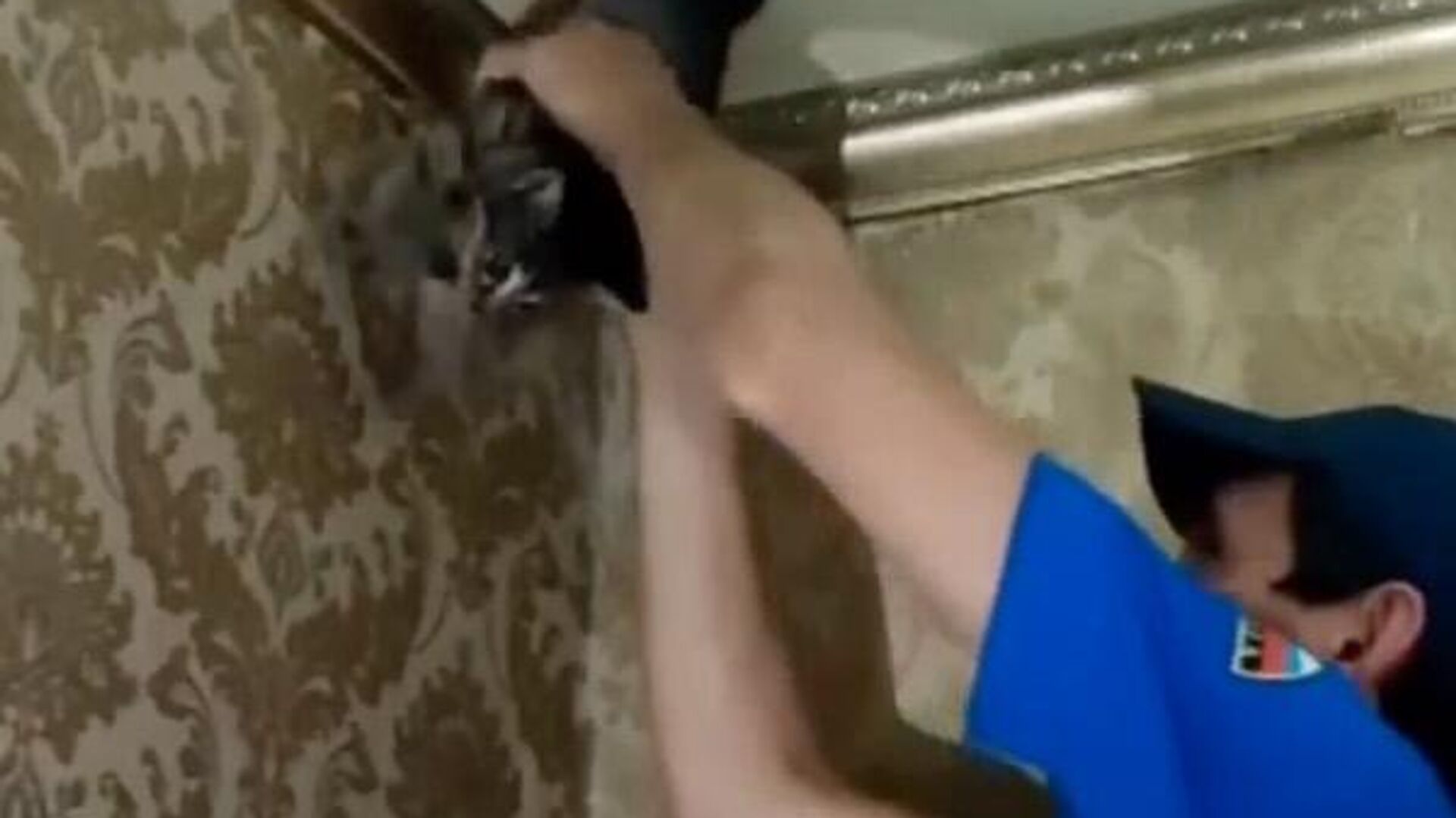 Как достать котенка из под шкафа
