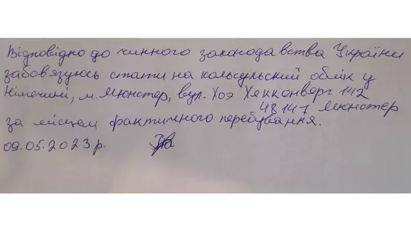 Заявления гражданки Украины, которая планировала вывозить из новых регионов детей, оставшихся без попечения родителей Заявления гражданки Украины, которая планировала вывозить из новых регионов детей, оставшихся без попечения родителей