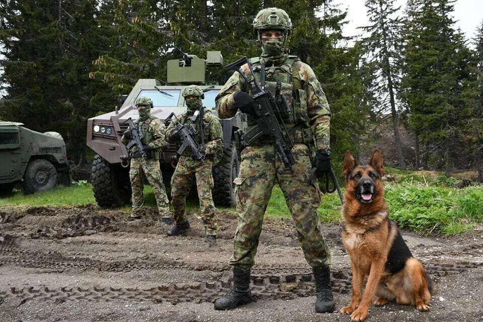 Военные подразделения сербской армии, развернутого в связи с ситуацией в Косово - РИА Новости, 1920, 31.05.2023