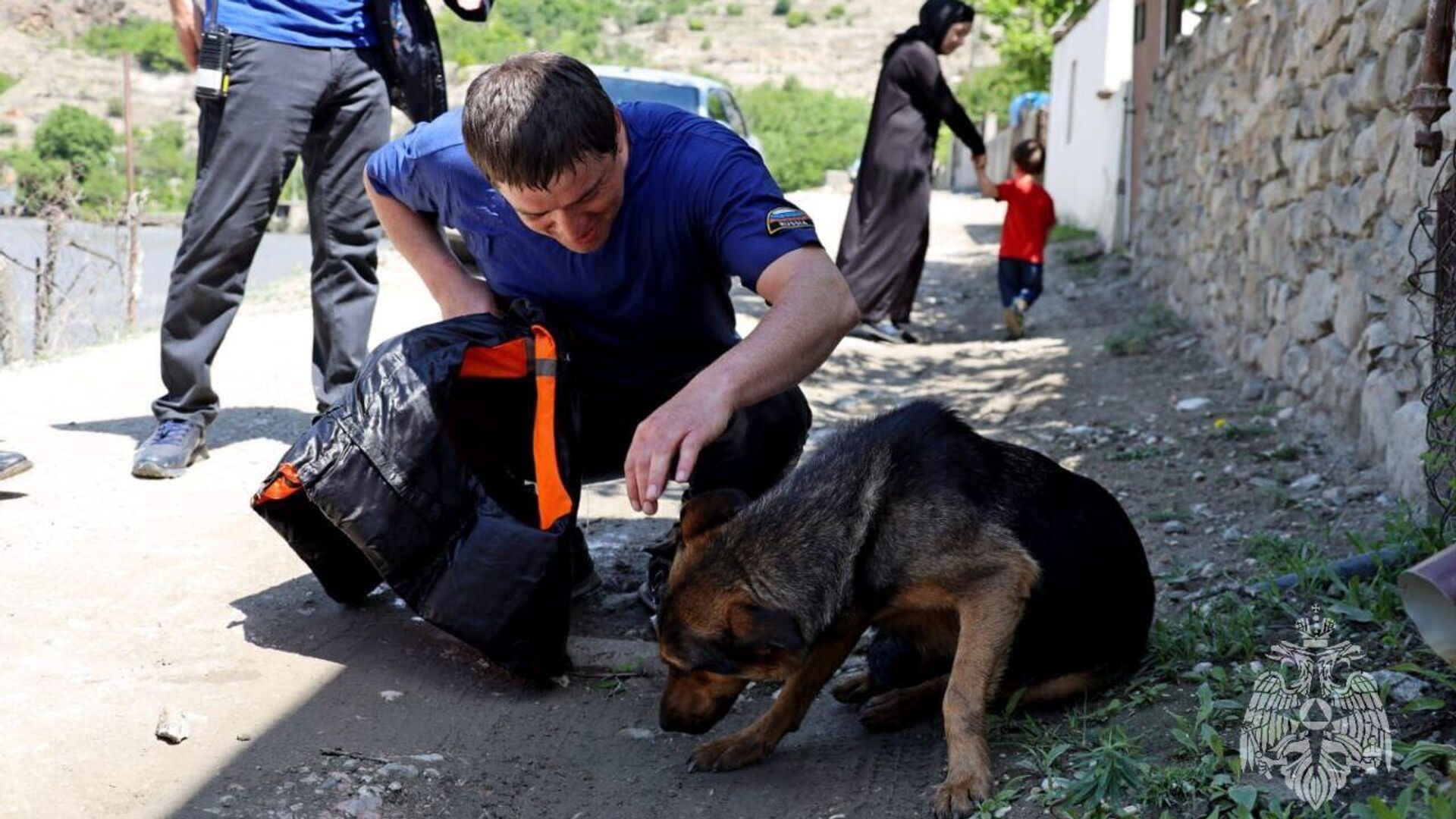 Собака, эвакуированная с островка реки в Дагестане - РИА Новости, 1920, 31.05.2023