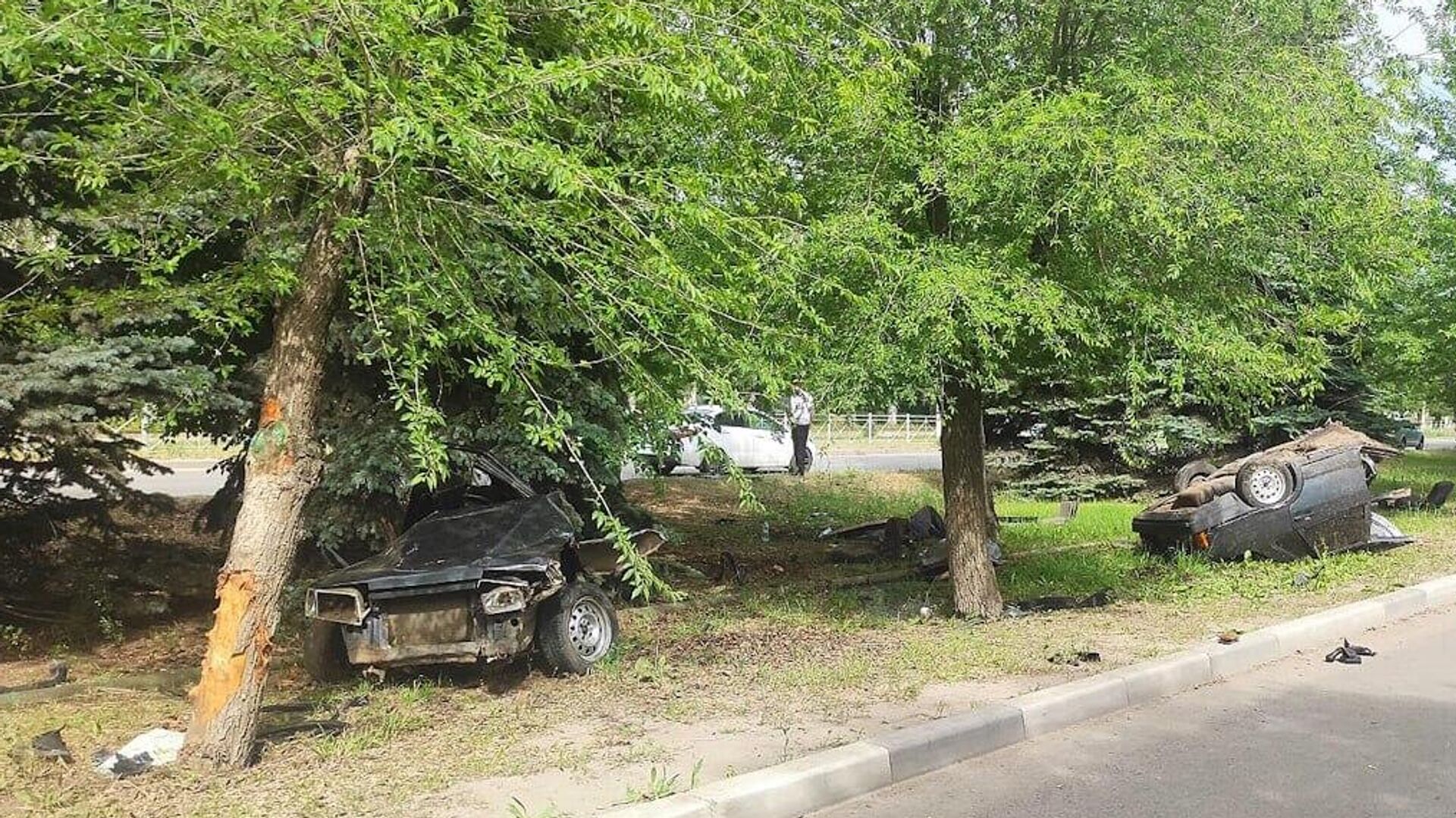 Автомобиль врезался в дерево в Волжском Волгоградской области - РИА Новости, 1920, 01.06.2023