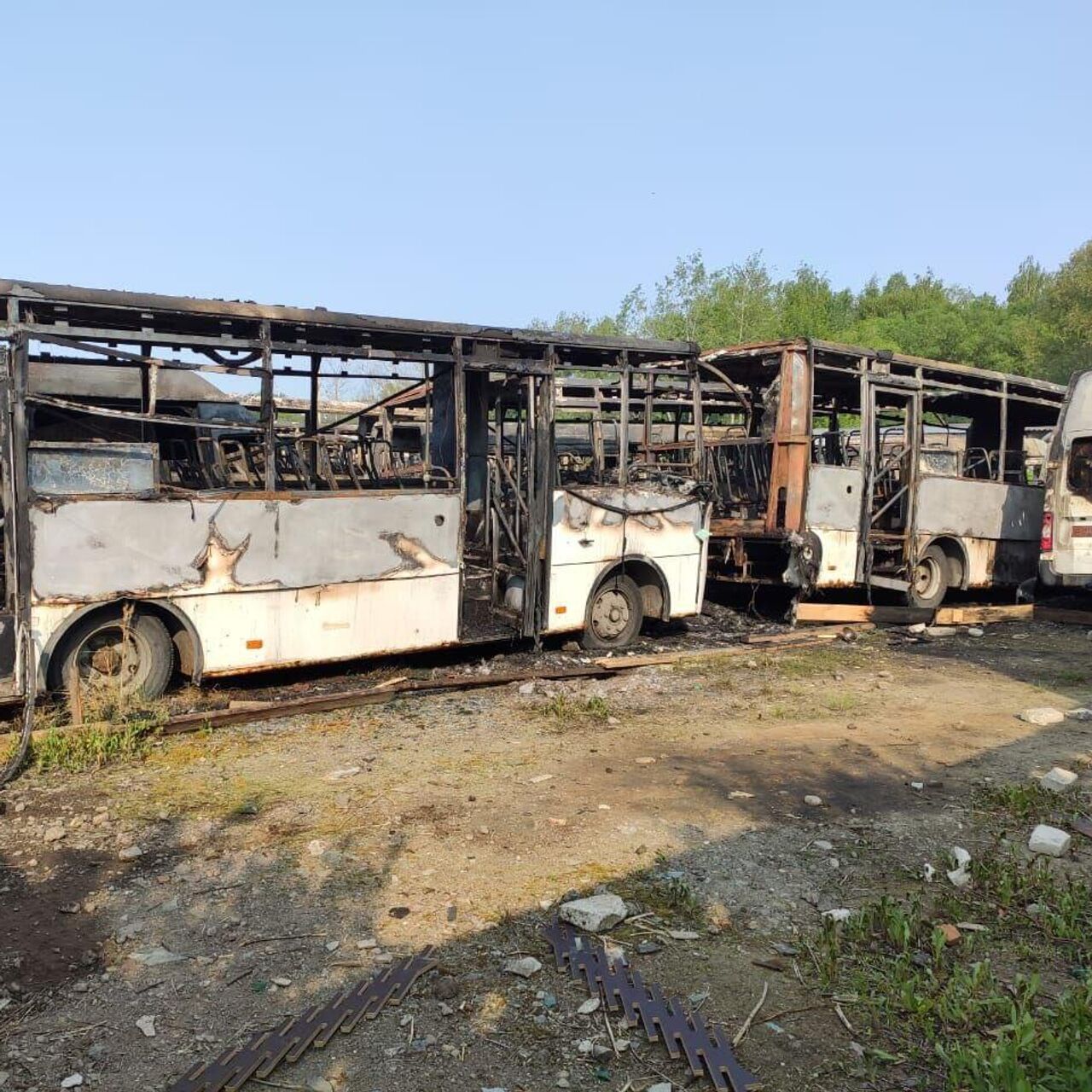 Прокуратура назвала возможную причину пожара в Ногинске, где горели 37 авто  - РИА Новости, 01.06.2023