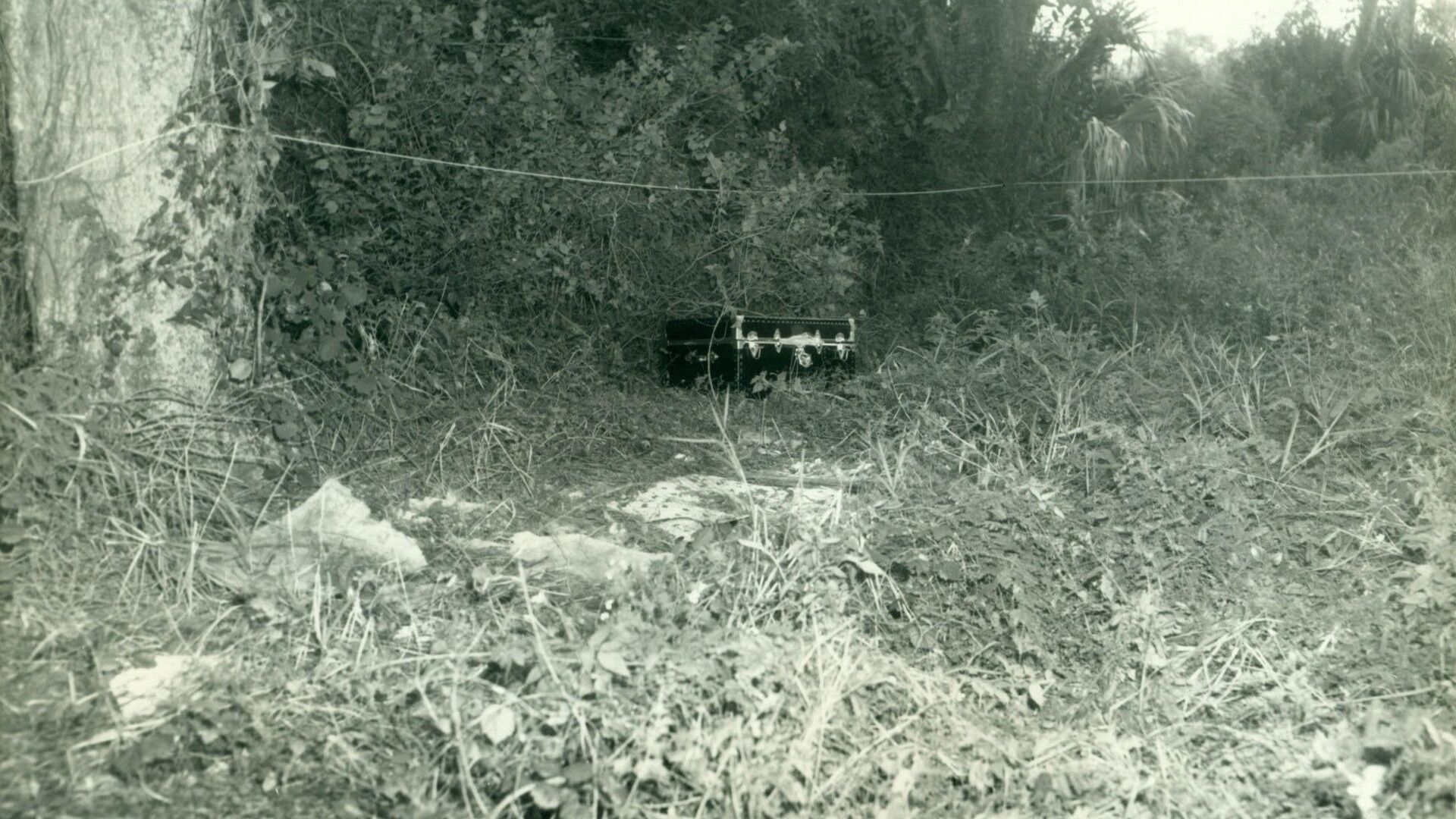 Багажный кофр для одежды, обнаруженный  в лесу возле города Сент-Питерсберг в октябре 1969 года - РИА Новости, 1920, 04.06.2023