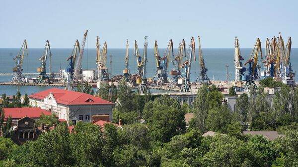 Подъемные краны в Бердянском порту