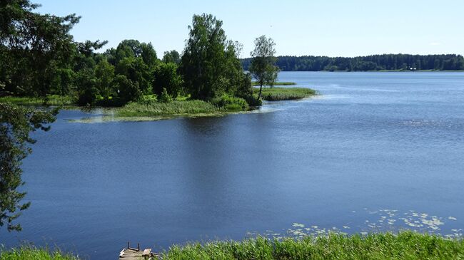 Вода в реке Мста прохладная даже летом