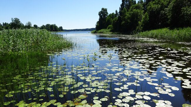 Пейзажи у Академической дачи