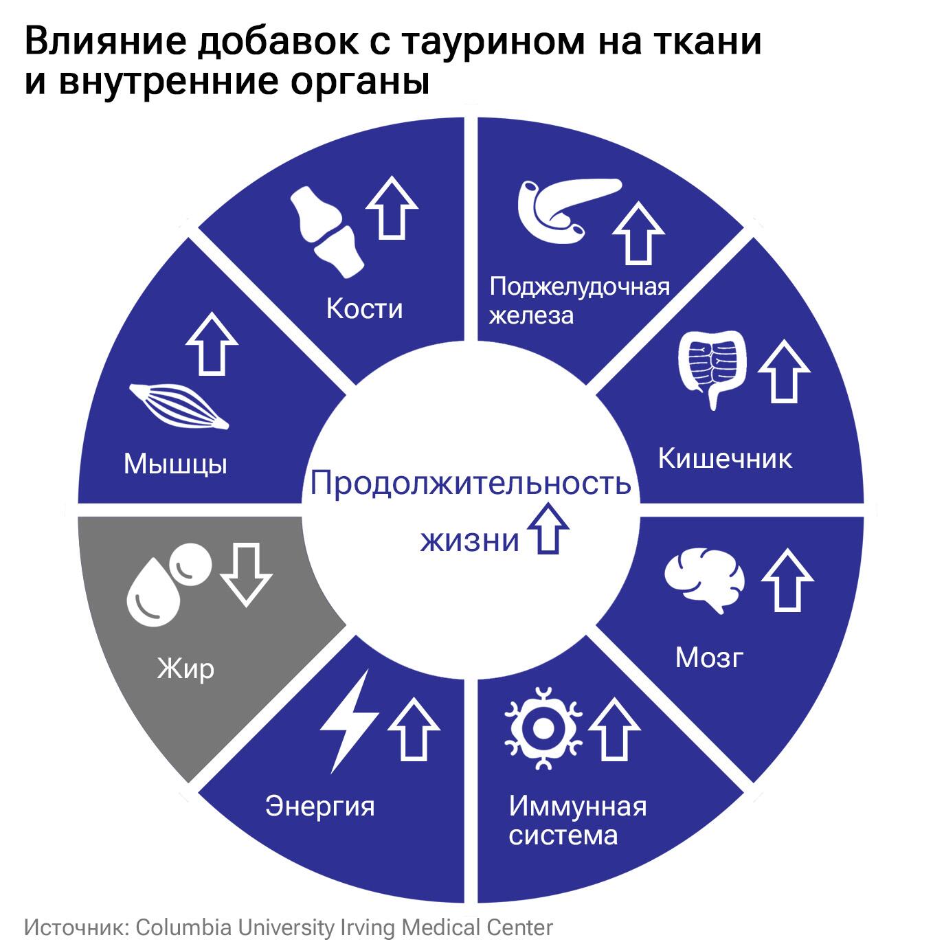 Влияние добавок с таурином на ткани и внутренние органы Влияние добавок с таурином на ткани и внутренние органы