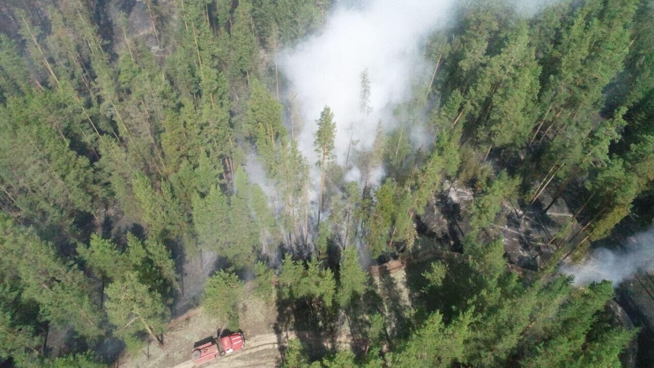 Природный пожар в Алтайском крае - РИА Новости, 1920, 25.06.2023