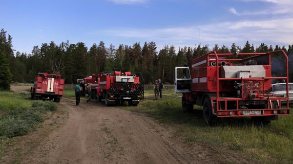 Лесной пожар в Алтайском крае
