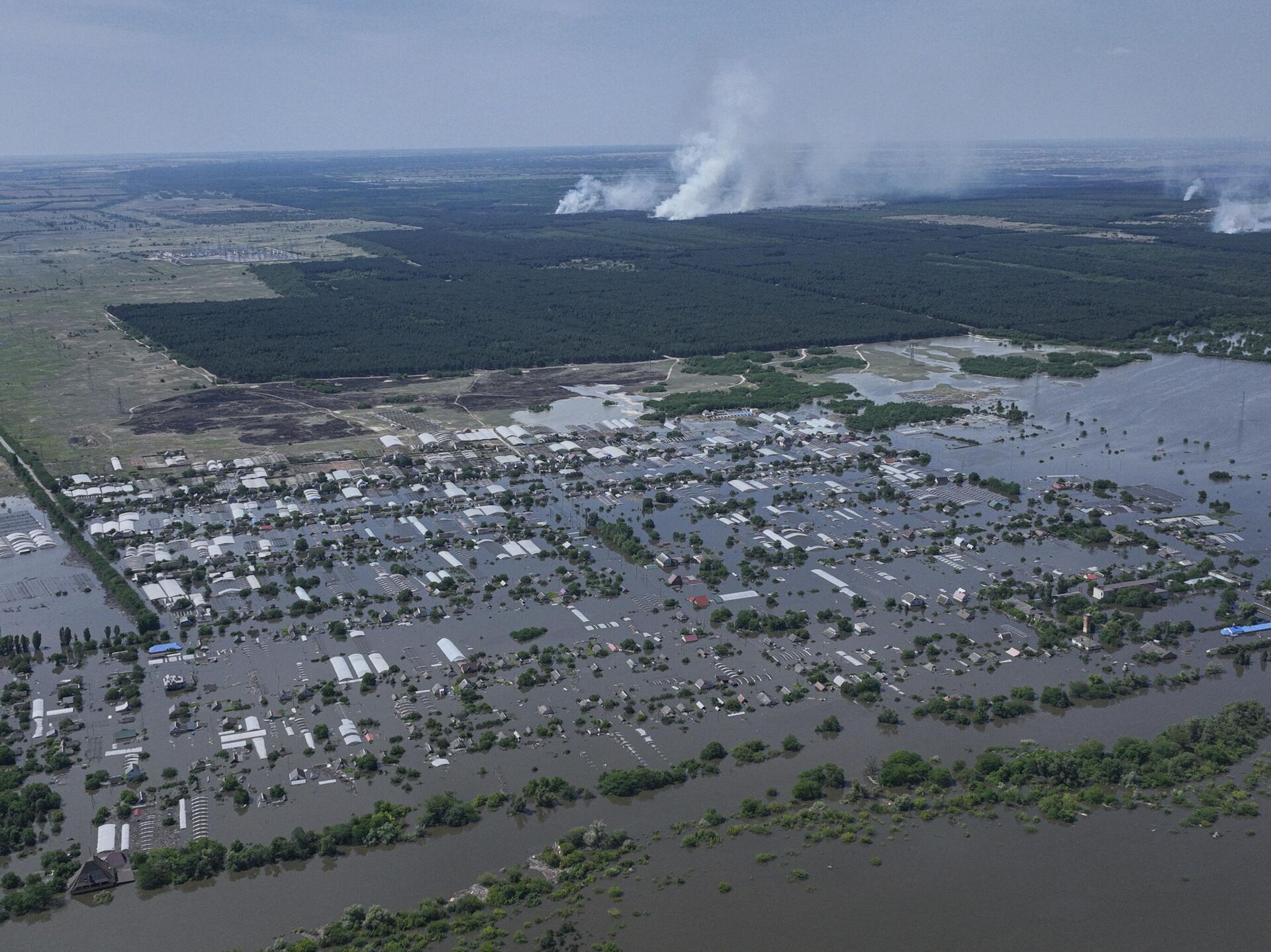 Затопленная территория Херсонской области на левом берегу Днепра - РИА Новости, 1920, 16.06.2023