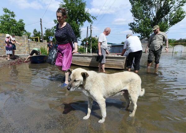 Местные жители собирают личные вещи для эвакуации волонтерами и спасателями МЧС в городе Голая Пристань после подтопления