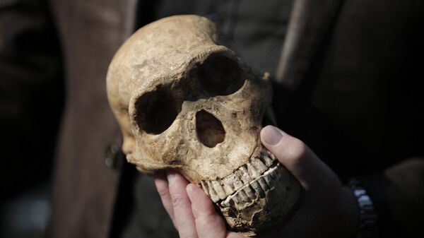Профессор Ли Бергер  держит копию черепа вида Homo Naledi Hominin, найденного в пещере Восходящая звезда
