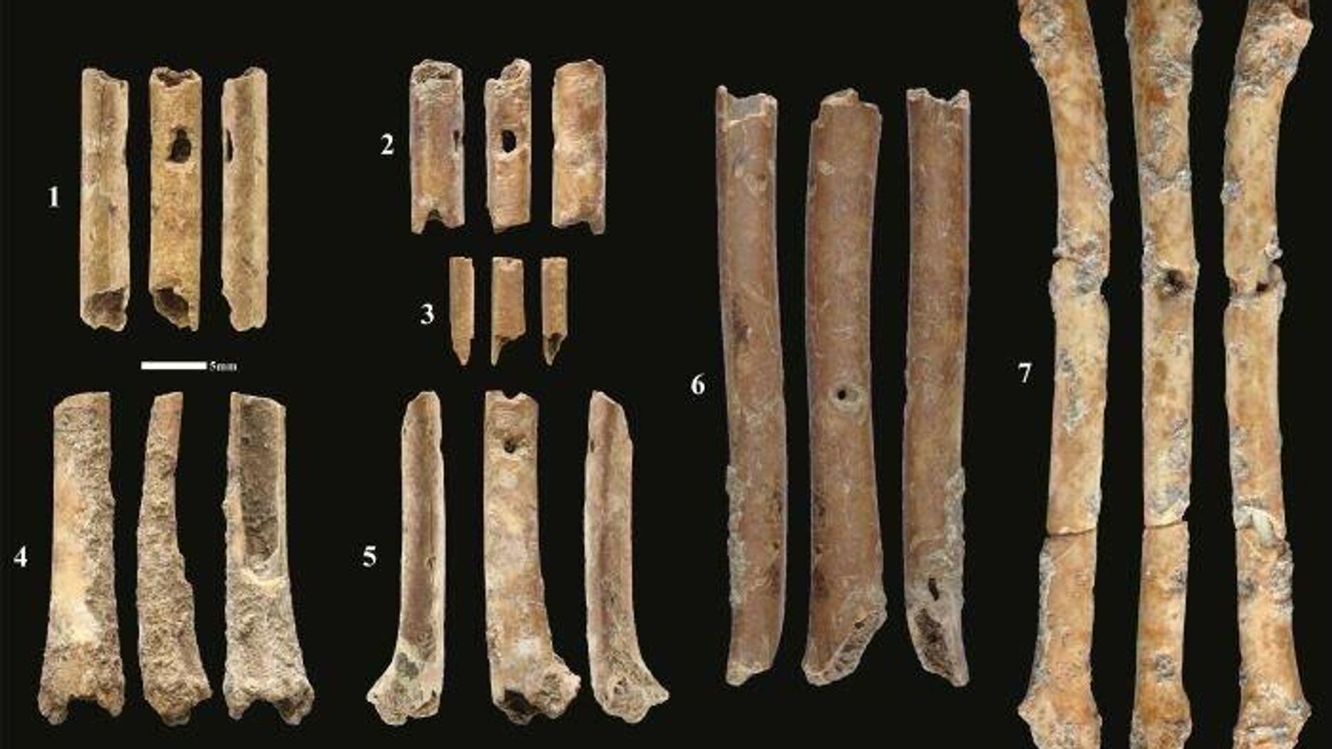 Элементы флейты из птичьих костей, обнаруженные при раскопках в Айн-Маллахе, Израиль - РИА Новости, 1920, 14.06.2023