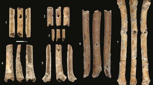 Элементы флейты из птичьих костей, обнаруженные при раскопках в Айн-Маллахе, Израиль