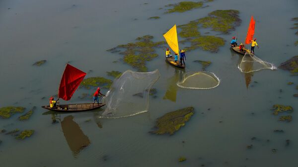 Шибашиш Саха Рыбная ловля на Замшелой реке. Индия. Моя планета, серии