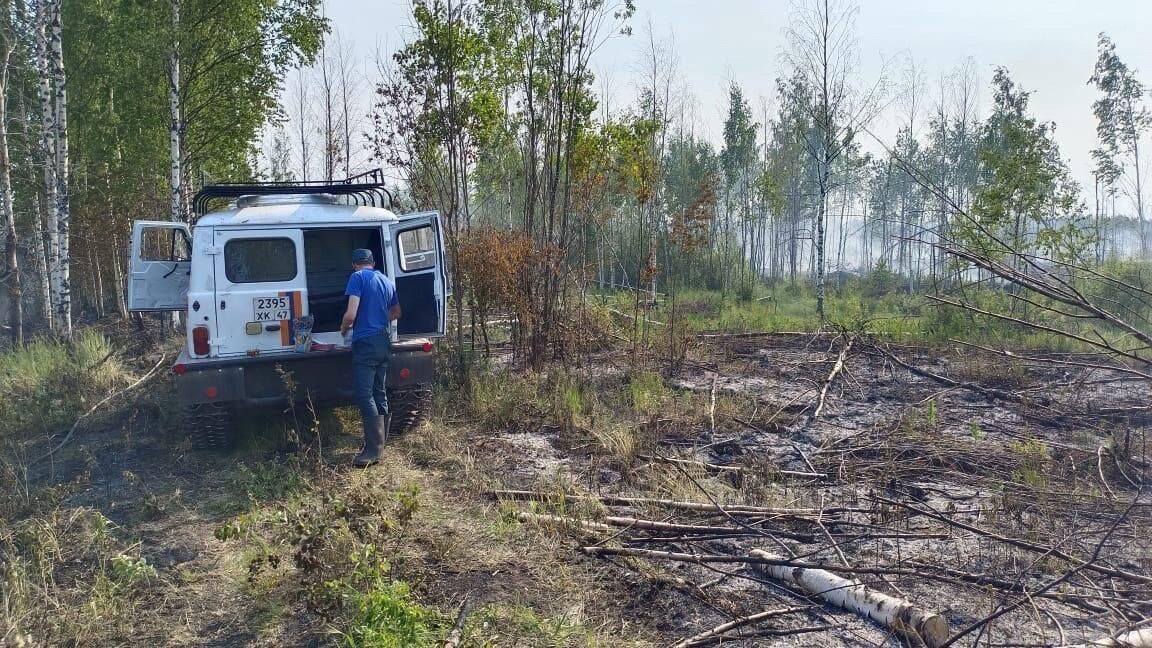 Тушение тлеющего торфа в Назийском сельском поселении Кировского района в Ленинградской области - РИА Новости, 1920, 14.06.2023