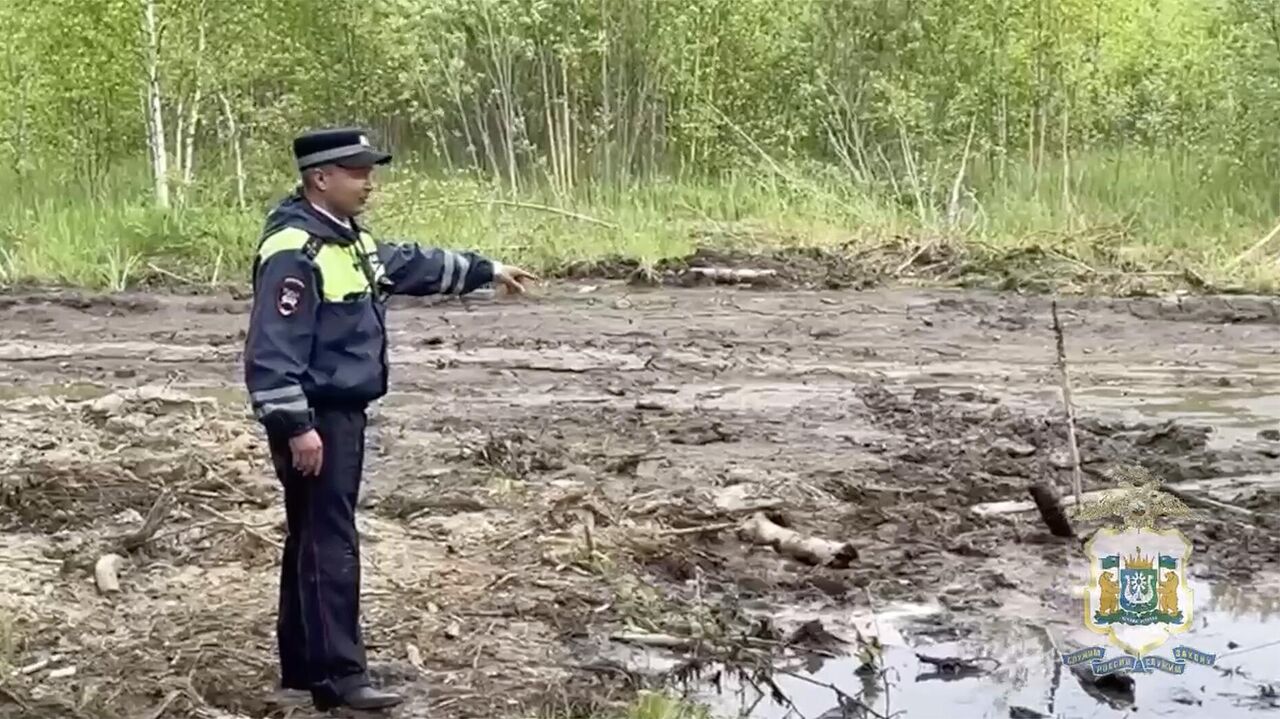 В Югре полицейские спасли детей, увязших в болоте - РИА Новости, 15.06.2023