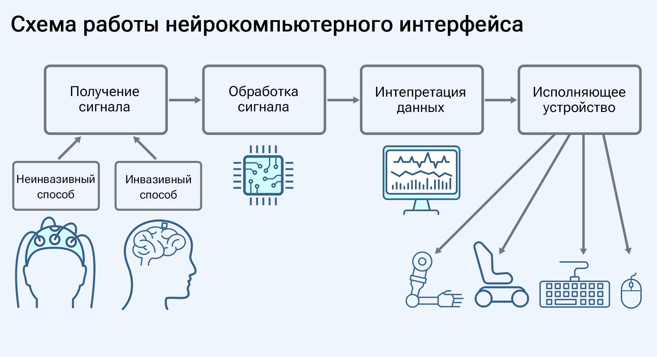 Чипирование мозга началось. Как изменят человека нейротехнологии - РИА  Новости, 16.06.2023