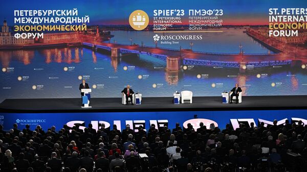 Президент России Владимир Путин выступает на пленарном заседании Петербургского международного экономического форума