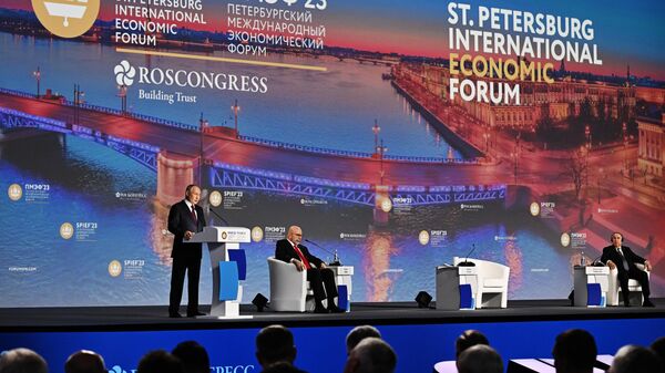 Президент РФ Владимир Путин выступает на пленарном заседании Петербургского международного экономического форума