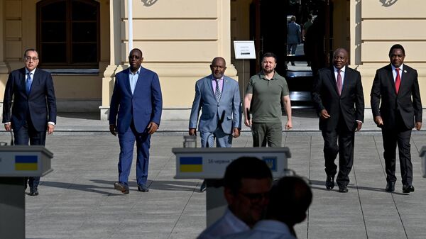 Главы Египта, Сенегала, Коморских островов, Украины, ЮАР и Замбии после переговоров в Киеве
