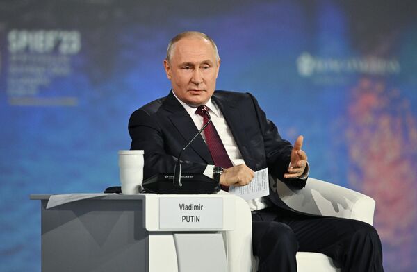 Президент РФ Владимир Путин на пленарном заседании Петербургского международного экономического форума