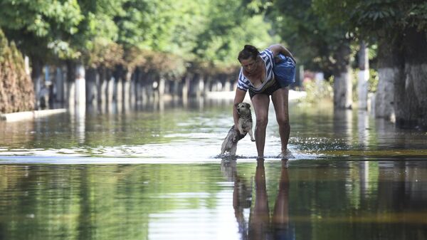 Женщина достает собаку из воды в городе Голая Пристань Херсонской области, затопленном после разрушения Каховской ГЭС