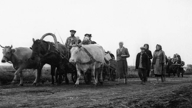 Беженцы уходят из оккупированных немцами районов во время Великой Отечественной войны