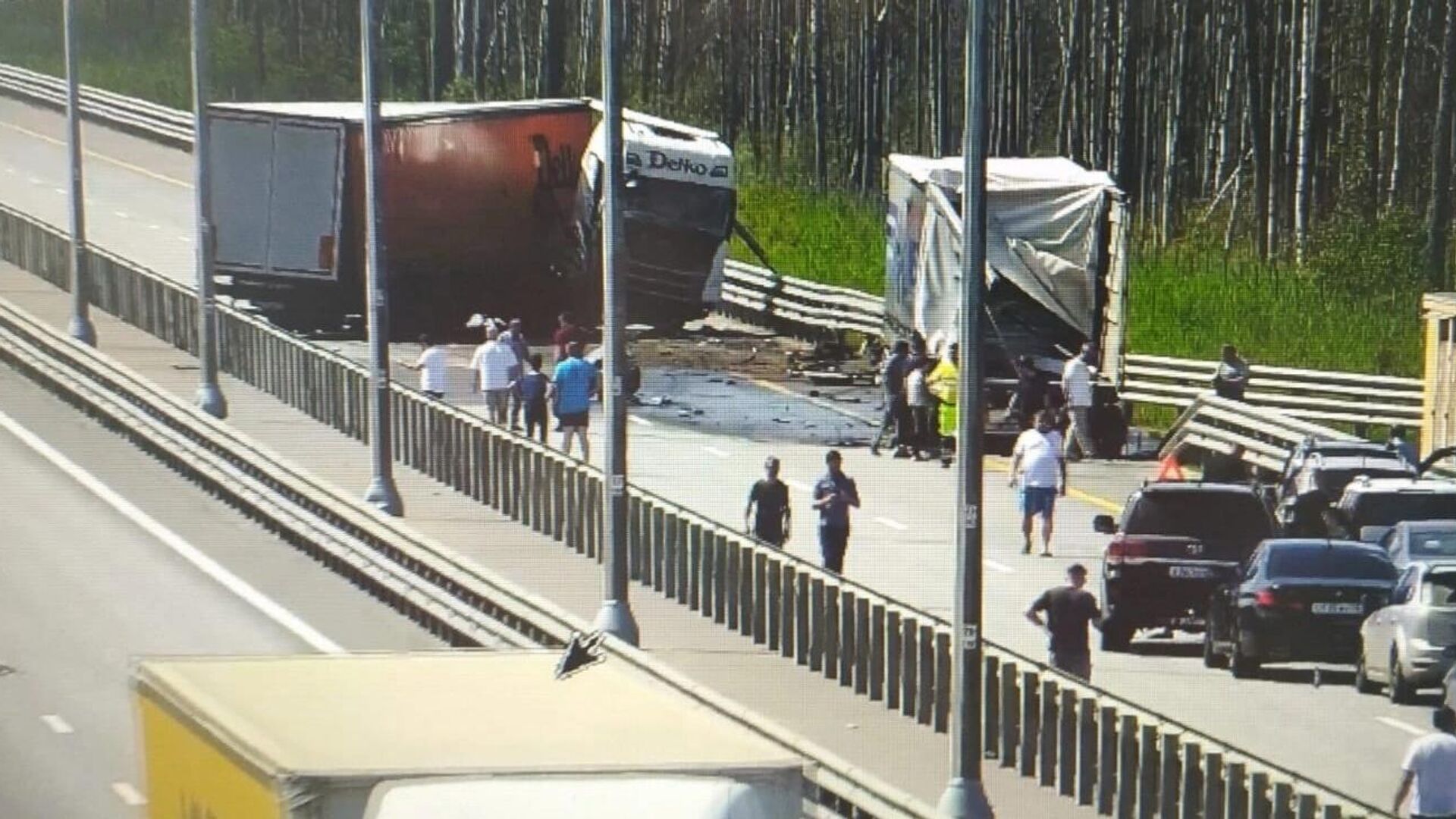 На М-11 в Новгородской области столкнулись два большегруза - РИА Новости,  20.06.2023