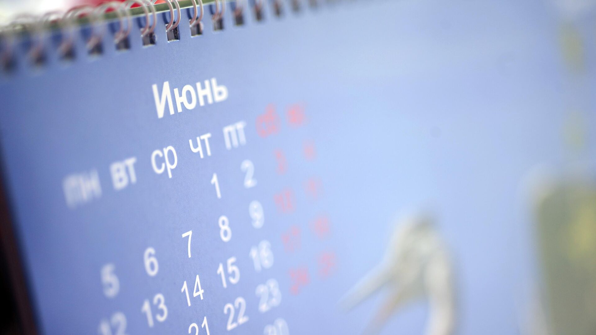 Праздники и выходные в 2024: производственный календарь