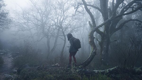 Девушка в туманном лесу