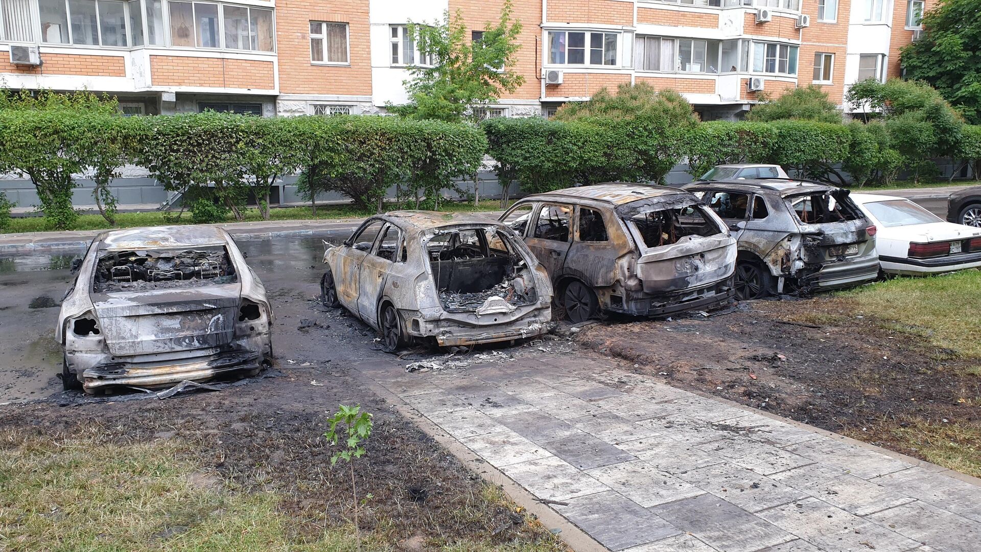 Машины во дворе дома на ул. Островитянова, сгоревшие в результате поджога неизвестным на самокате - РИА Новости, 1920, 23.06.2023