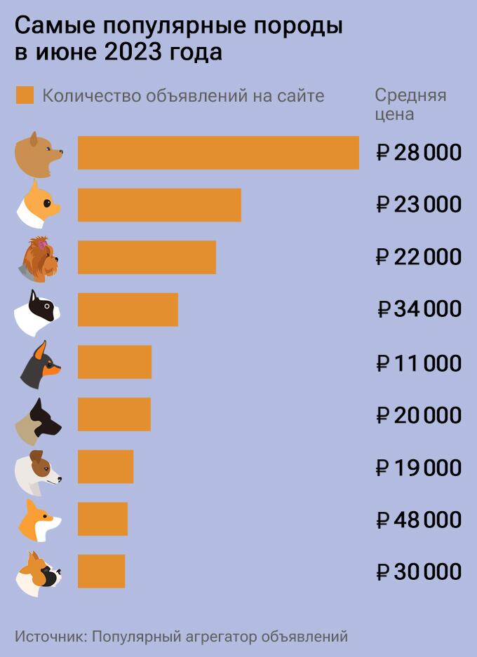 Самые популярные породы на Авито в июне 2023 года Самые популярные породы на Авито в июне 2023 года