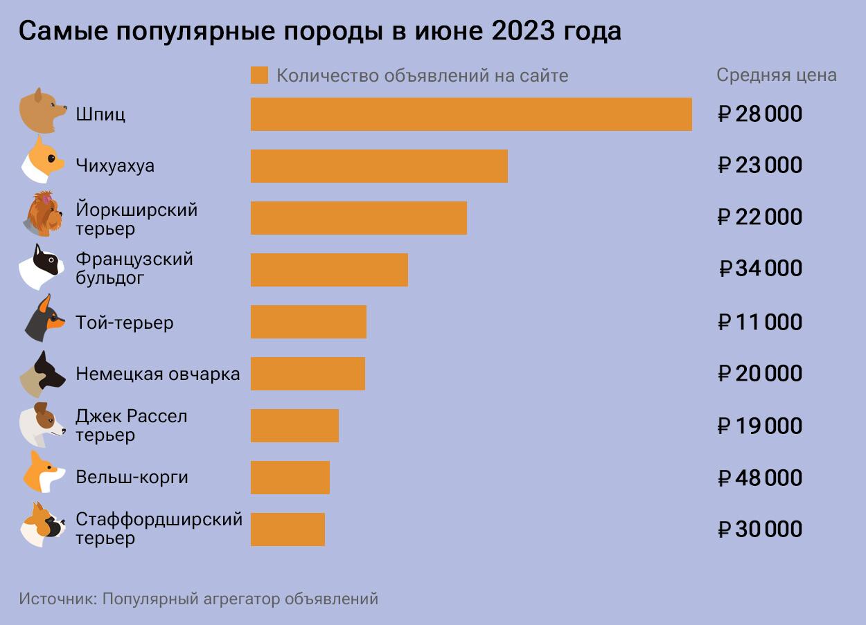 Самые популярные породы на Авито в июне 2023 года Самые популярные породы на Авито в июне 2023 года