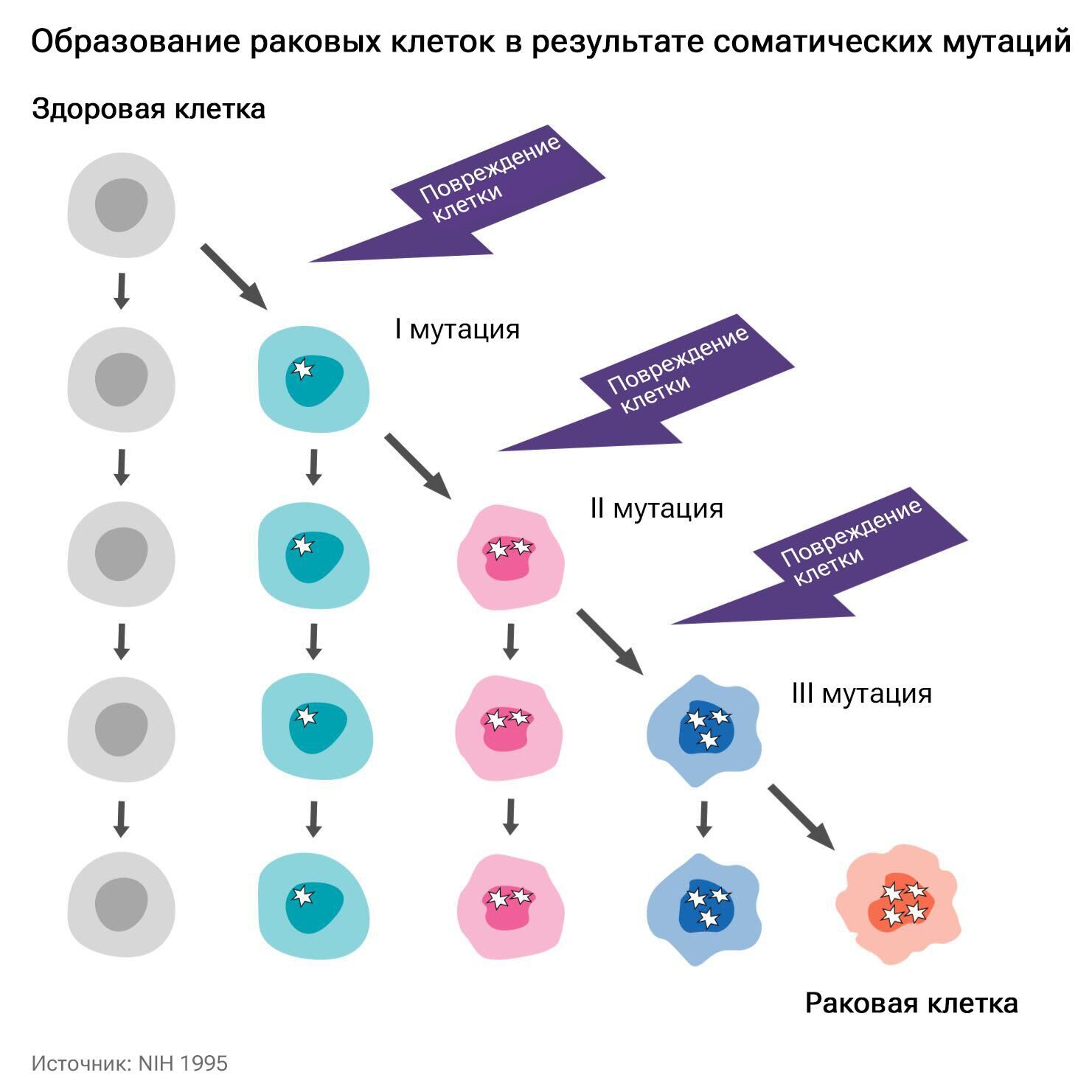 Растет изнутри