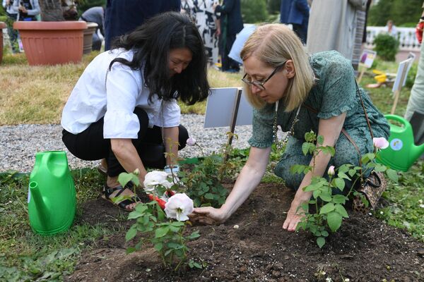 Посетительницы сажают кустовые розы в музее-заповеднике Горки Ленинские