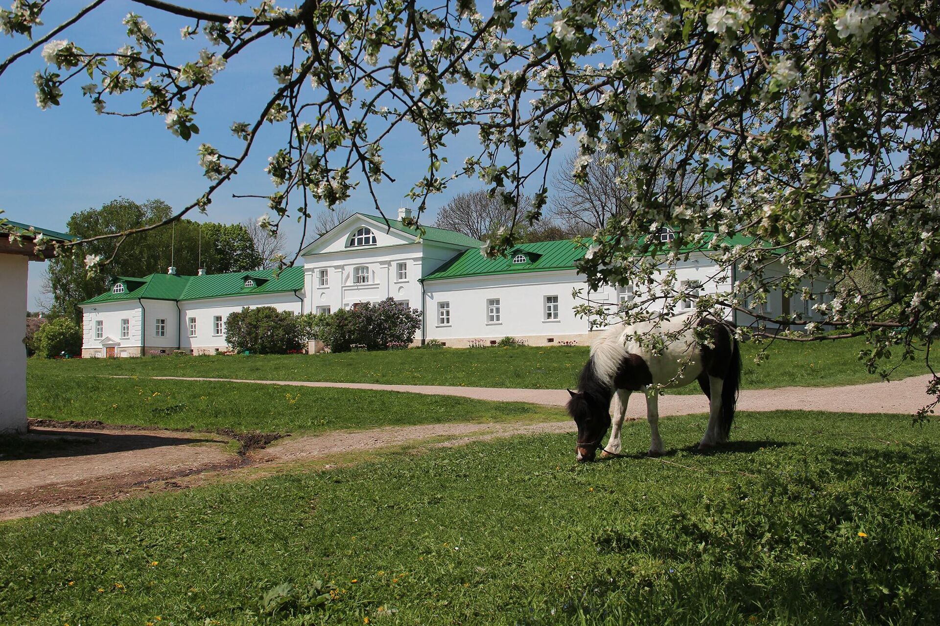 Дом Волконского - РИА Новости, 1920, 26.06.2023