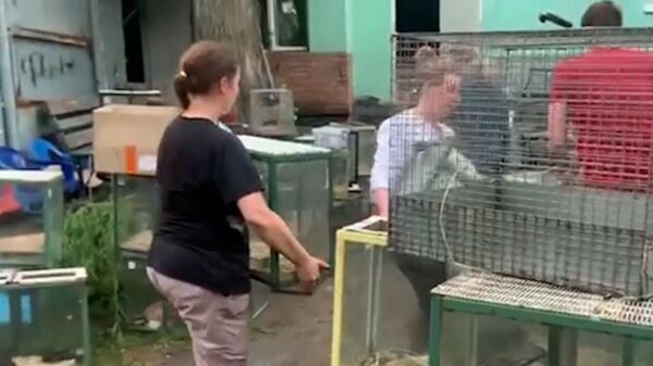 Сотрудники МЧС спасают животных из горящего зоопарка