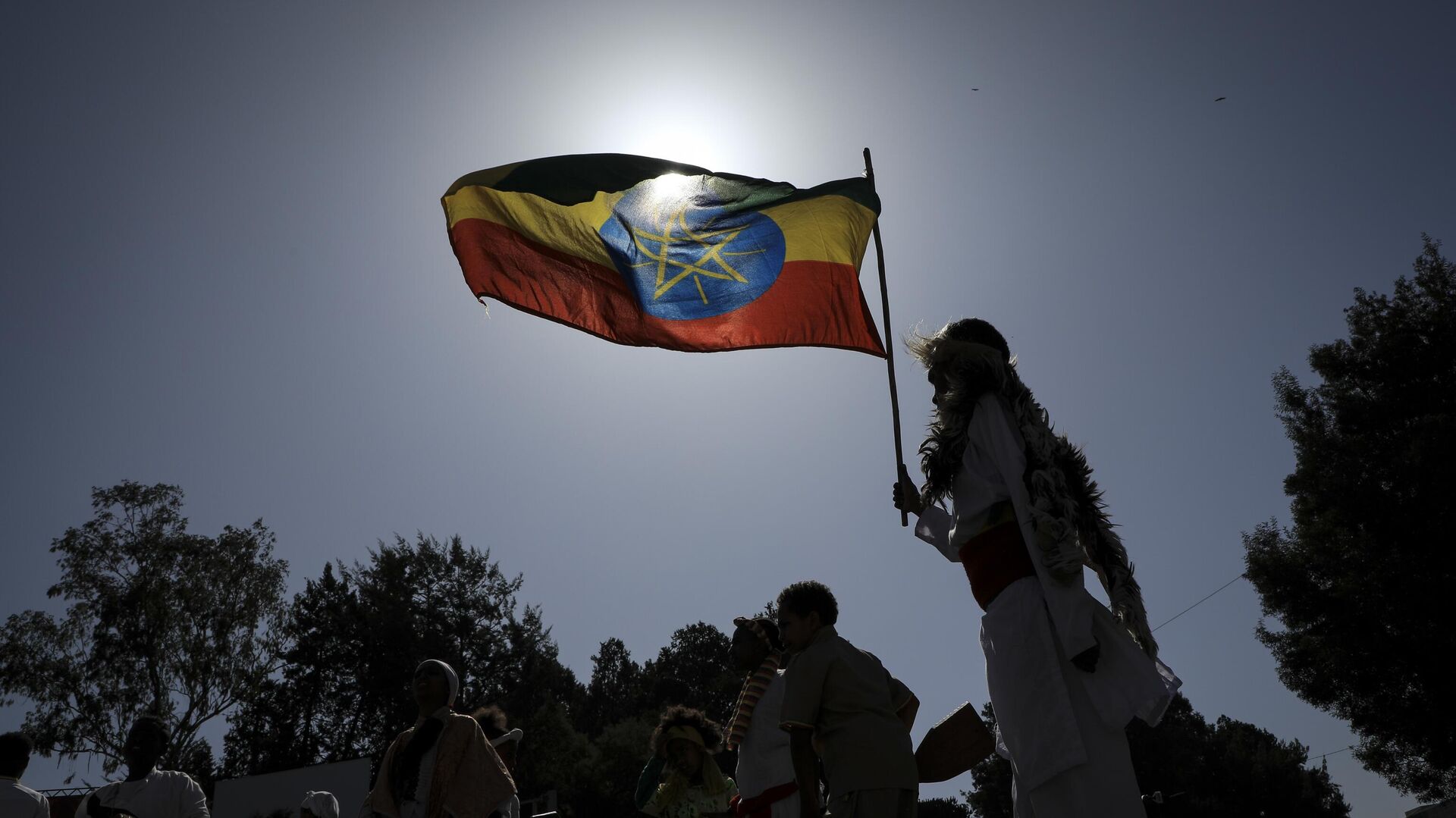 Девушка с флагом Эфиопии в Аддис-Абебе - РИА Новости, 1920, 12.02.2024