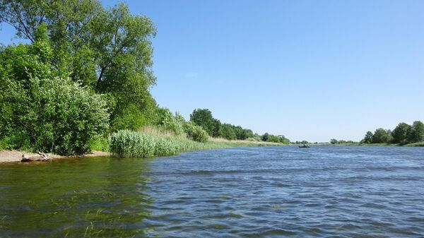 Река Преголя недалеко от Ушаково
