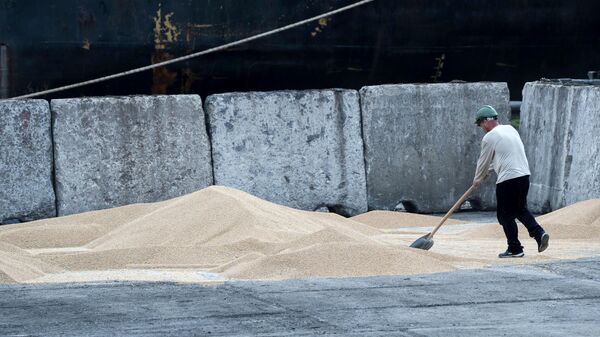 Рабочий во время погрузки зерна в порту Измаил