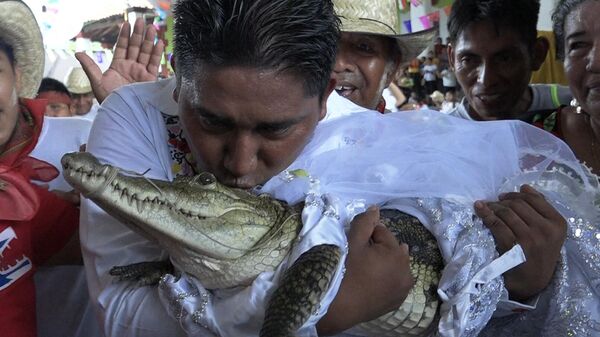 Виктор Хьюго Соса, мэр Сан-Педро-Уамелула, целует очкового каймана (Caiman crocodilus) по имени La Niсa Princesa (Девушка-принцесса) перед тем, как жениться на ней