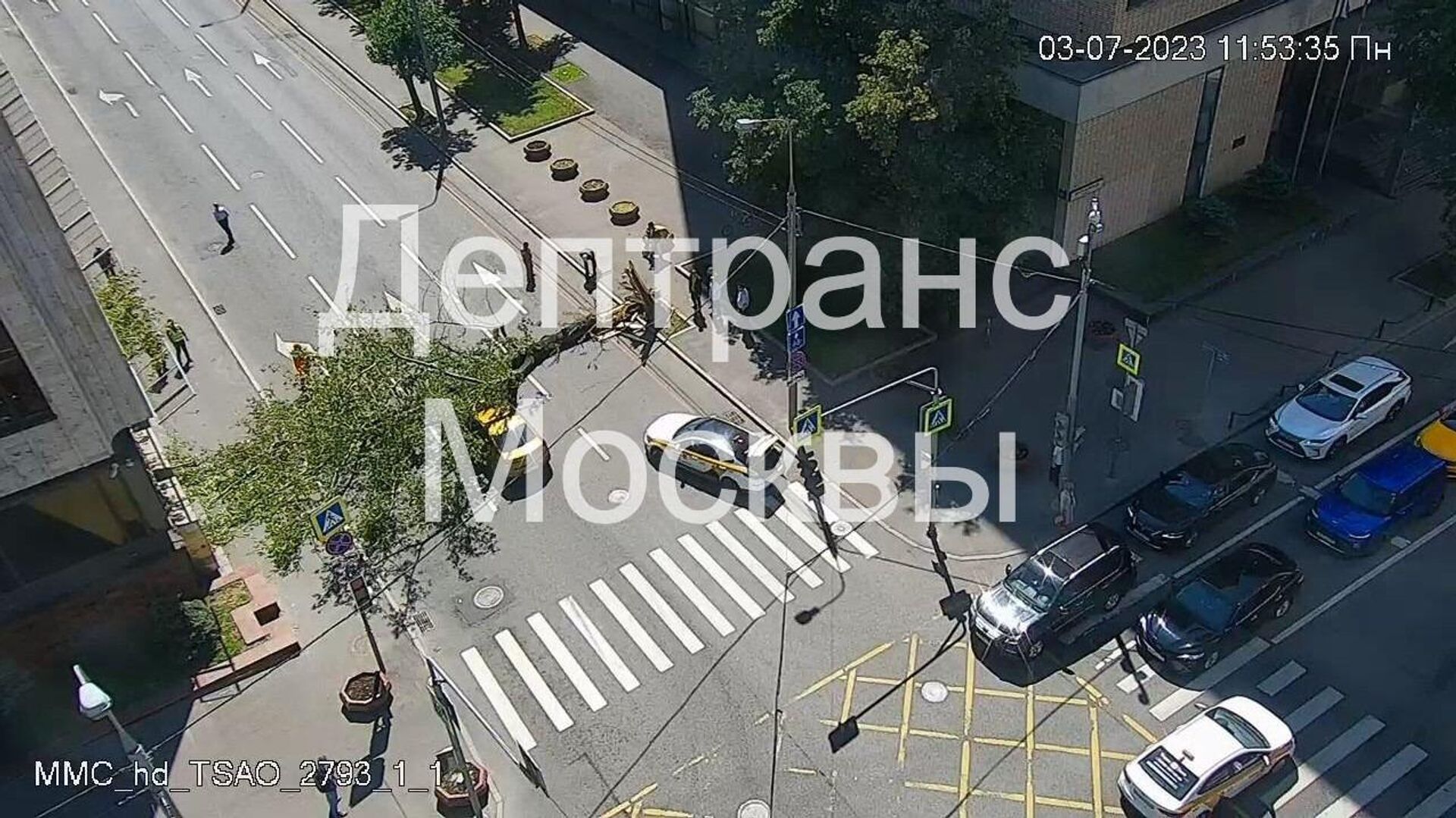Упавшее на проезжую часть дерево на 2-й Брестской улице в Москве - РИА Новости, 1920, 03.07.2023