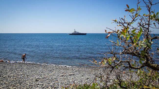 Побережье Черного моря в районе заповедника Утриш в Краснодарском крае